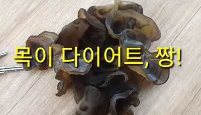 [] ѳο ̹ ˴ϴ.
