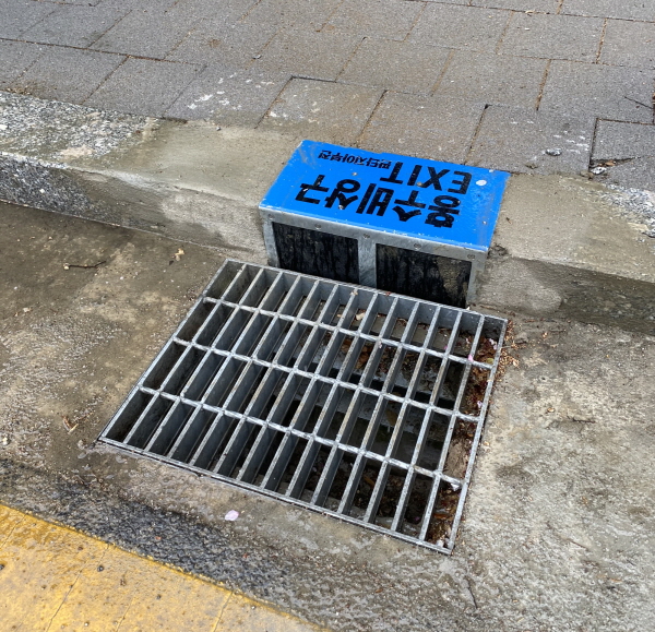 ߵ, ȣ  ȫ ġ 