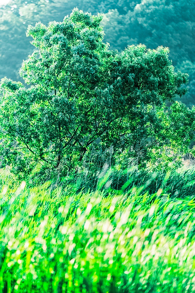 Ƽ ڿ޾縲