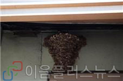 [대장마을 가는 길 9] 대장 마을은 제비 마을!